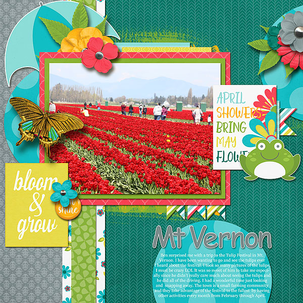 Mt Vernon