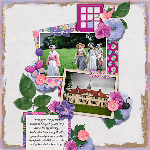 Mt Vernon