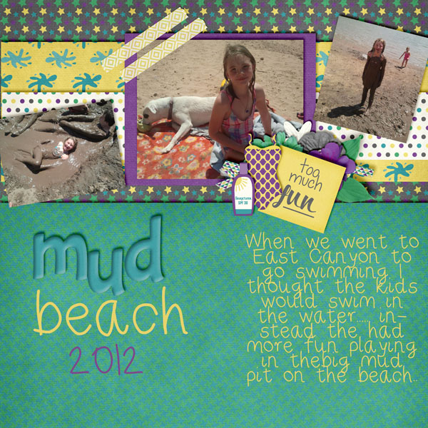 Mud beach