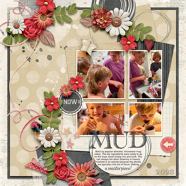 Mud Cake