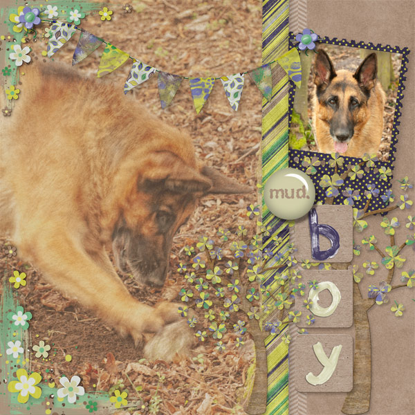 mudBOY