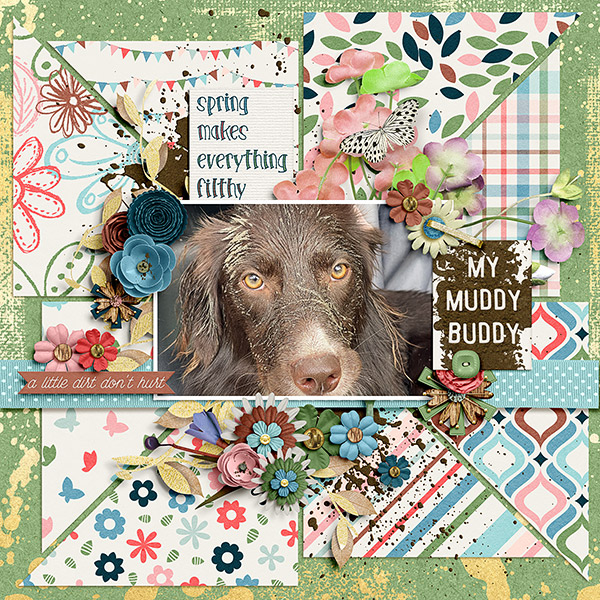 Muddy Buddy