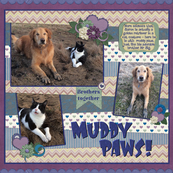 Muddy Paws