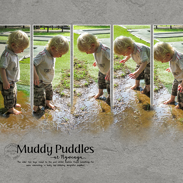 Muddy Puddles at Ngwenya