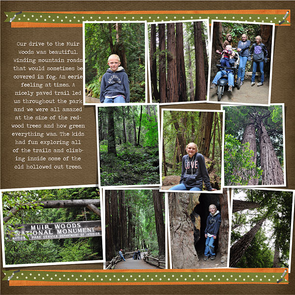 Muir Woods Pg. 2