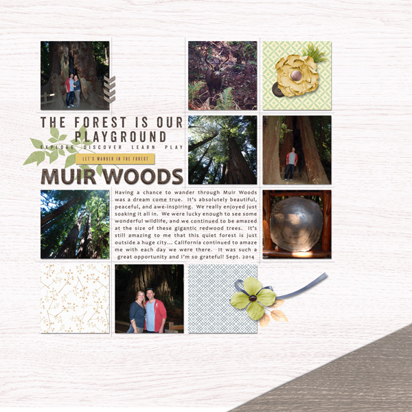 Muir Woods | September 2014