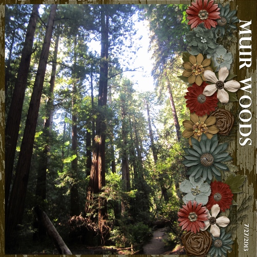 Muir Woods