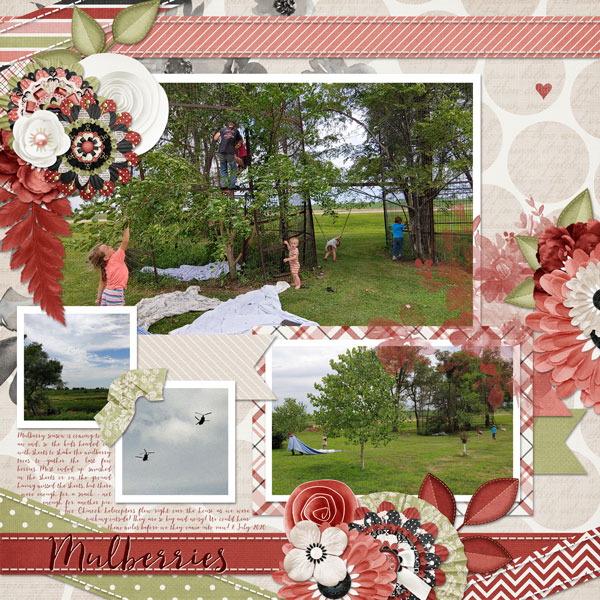 Mulberries