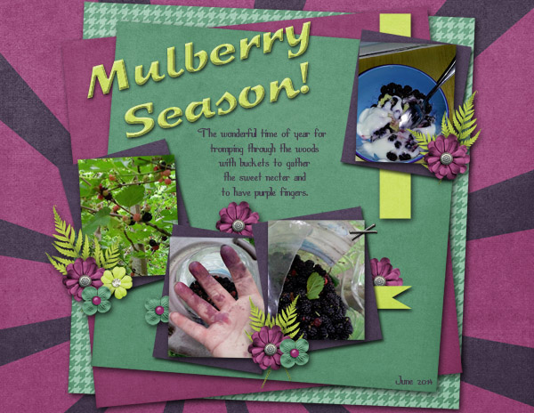 Mulberry season
