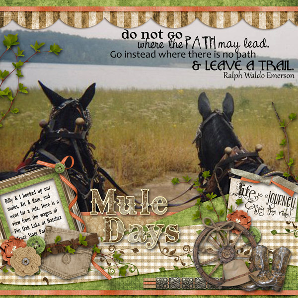 Mule Days