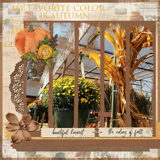 Mums and Cornstalks