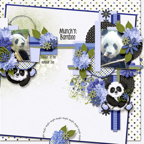 Munch'n Bamboo