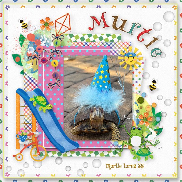 Murtle-the-Turtle-Turns-35.jpg