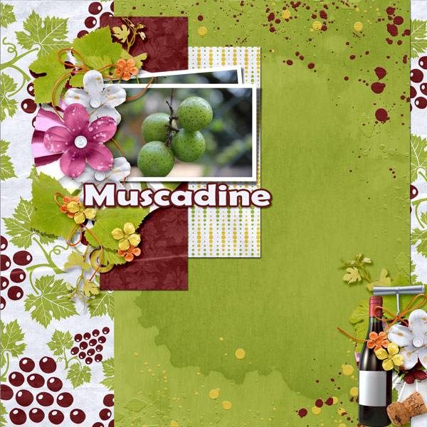 Muscadines
