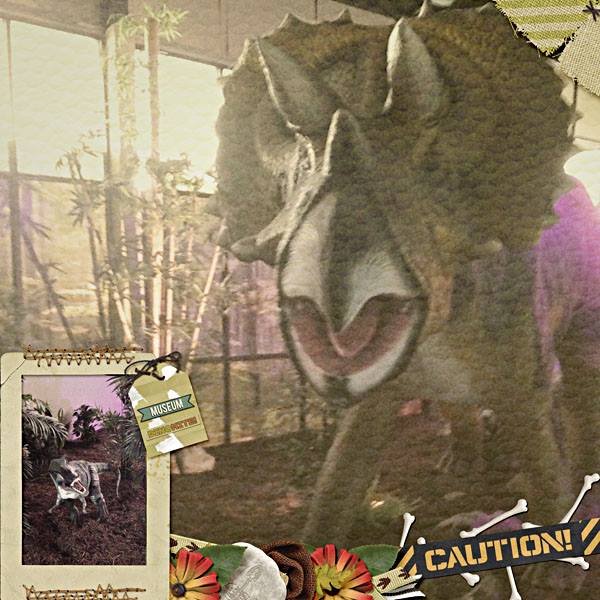 Museum DinoMite