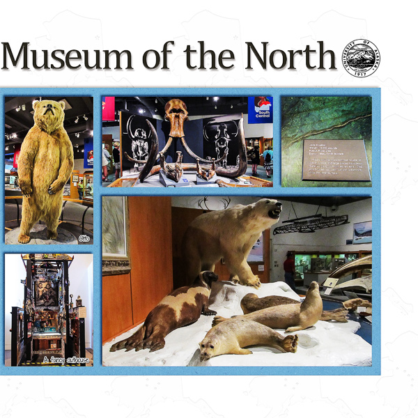 Museum of the North, right side
