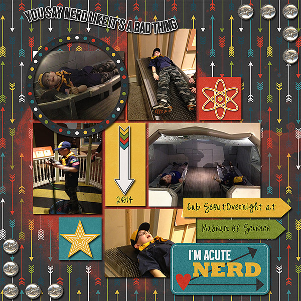 Museum Sleepover 2014