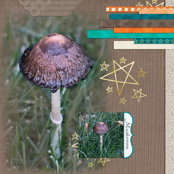 Mushroom