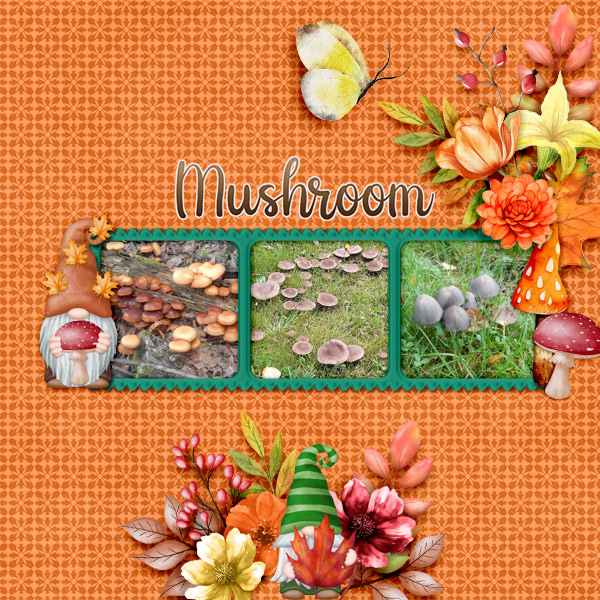 Mushroom1