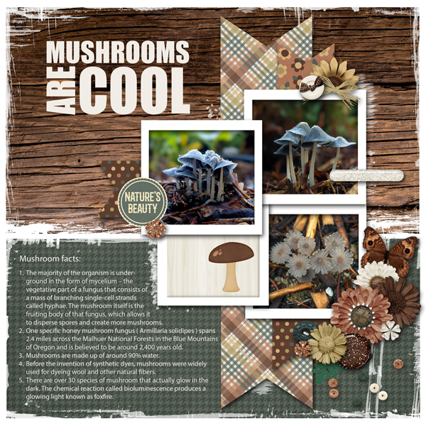 Mushrooms are Cool - Memory Mix Up challenge 2022-08