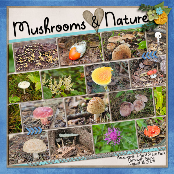 Mushrooms + Nature