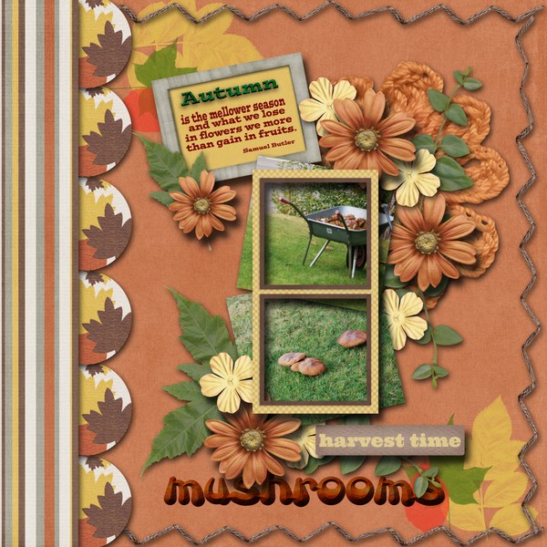 Mushrooms