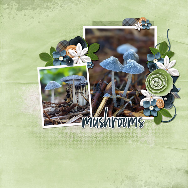 Mushrooms