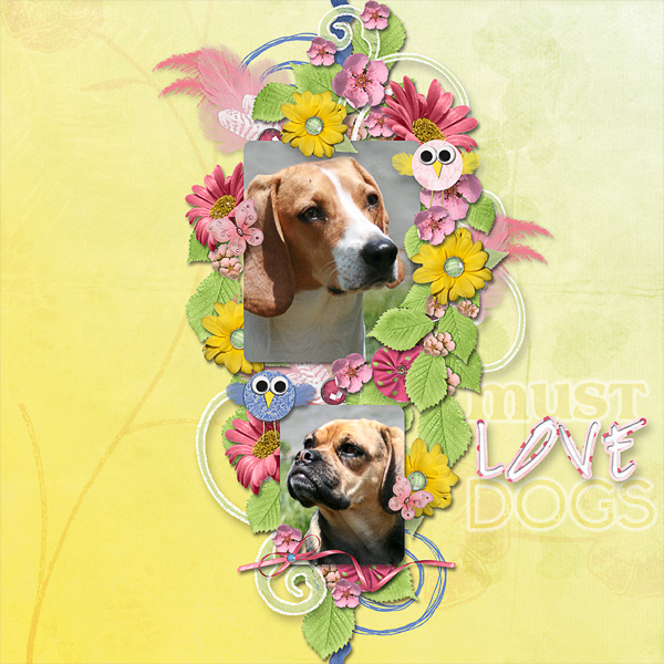 Must Love Dogs