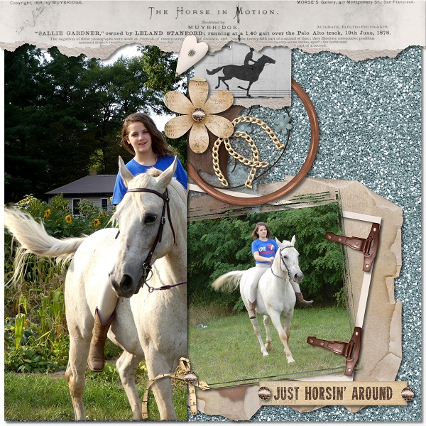 Must Love Horses