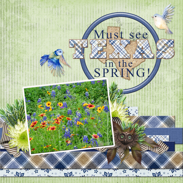 Must see TEXAS is the SPRING!