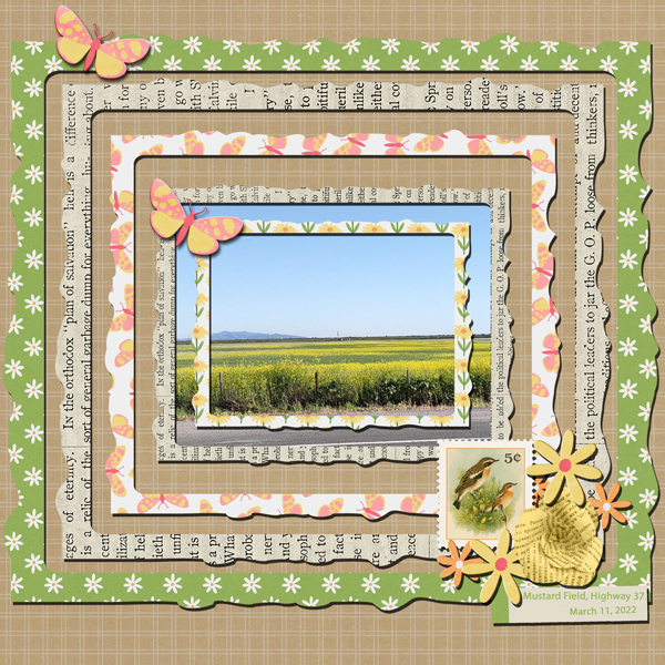 Mustard Field