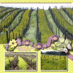 Mustard in the Vineyard