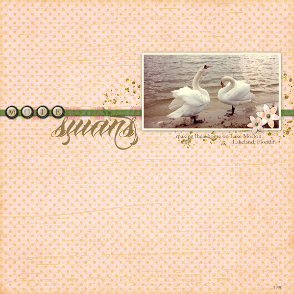 Mute Swans
