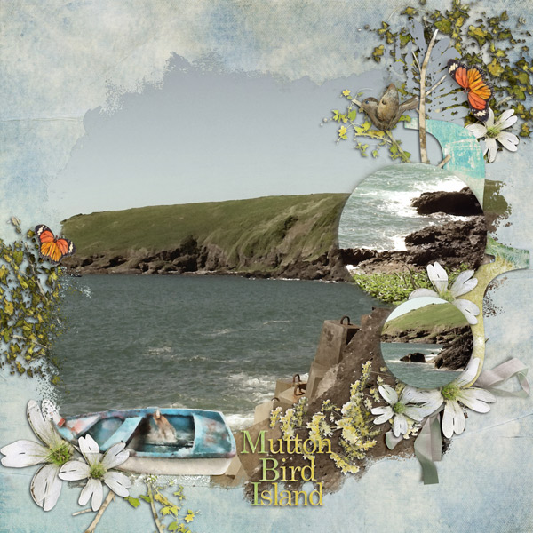 MuttonBird Island