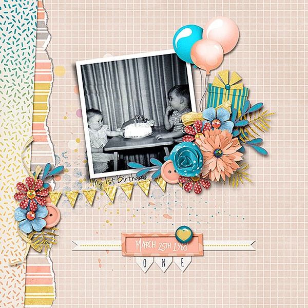 My 1st Birthday