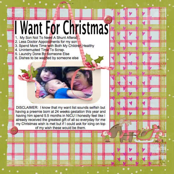 My 2012 Christmas Wish