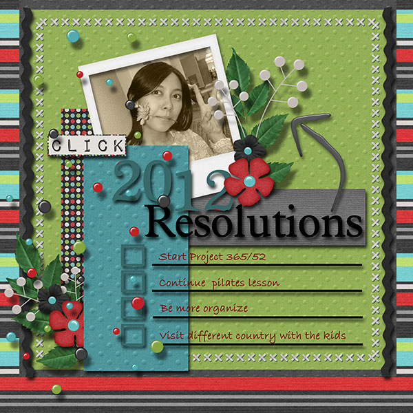 My 2012 Resolution