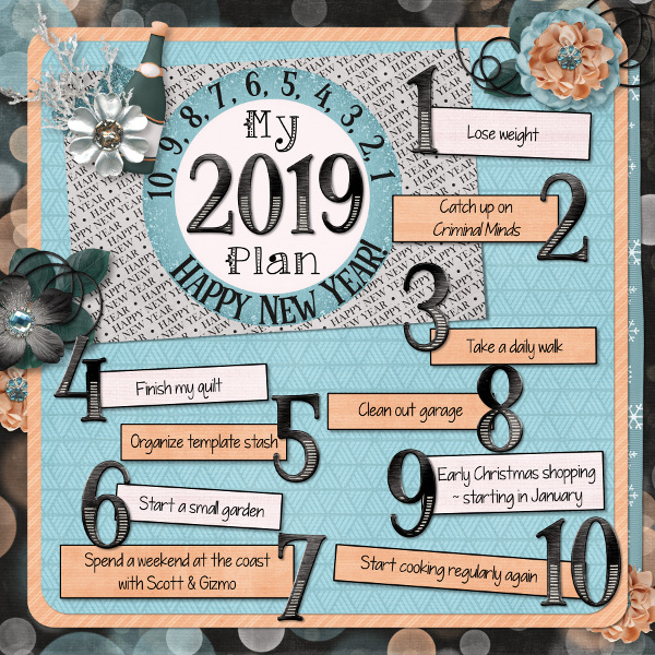 My 2019 Plan