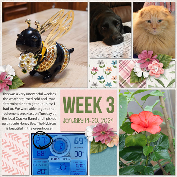 My 365/52 - Week 3