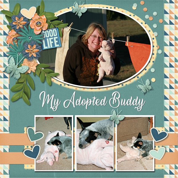 My Adopted Buddy