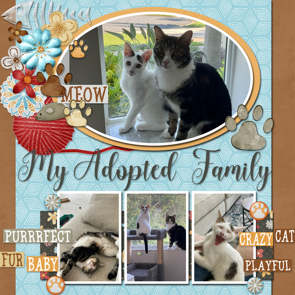 My Adopted Family