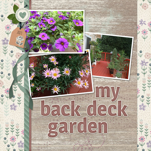 My Back Deck Garden