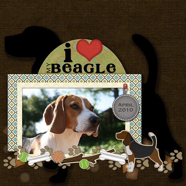 My Beagle