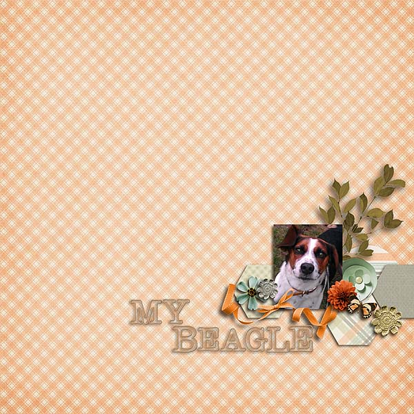 My Beagle