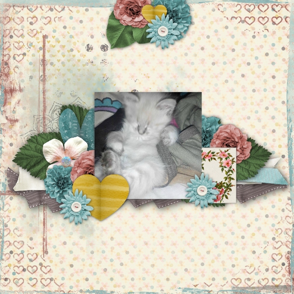 My beautiful furbaby