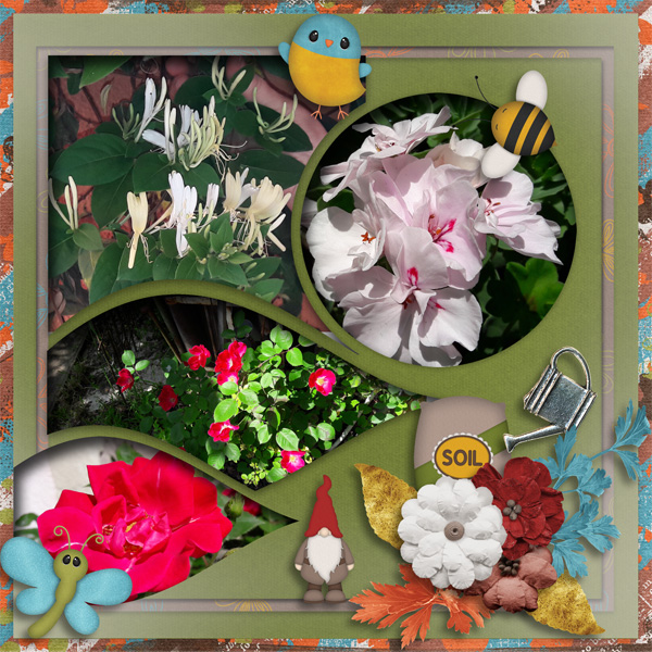 My beautiful garden