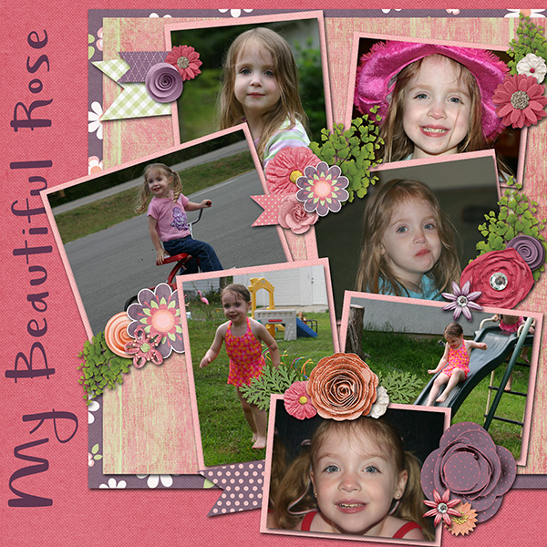 My Beautiful Rose