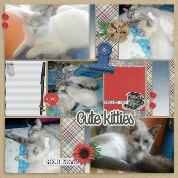 My beloved furbabies