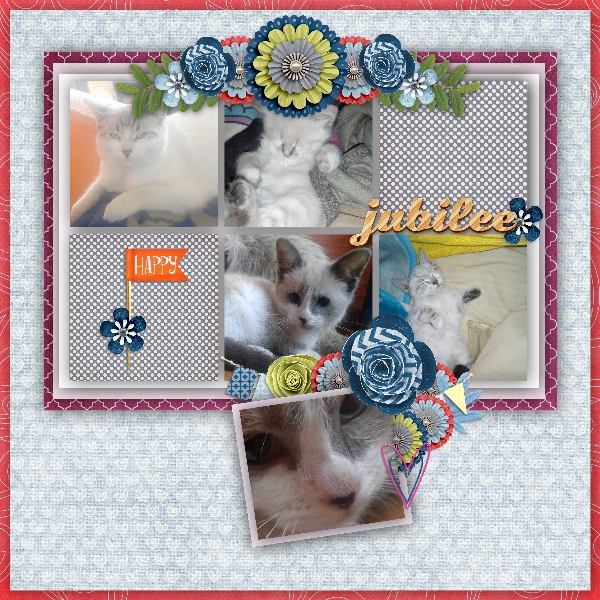 My beloved furbabies