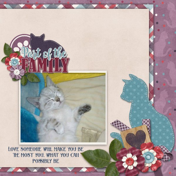 My beloved furbaby.jpg